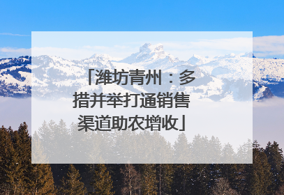 潍坊青州：多措并举打通销售渠道助农增收